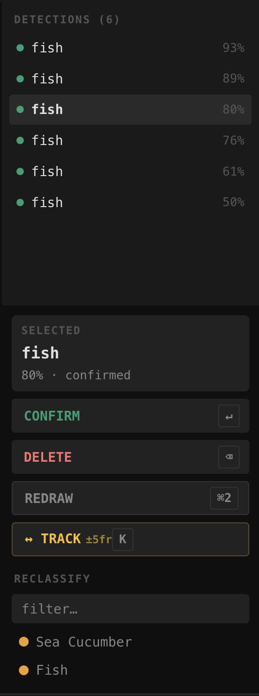 The Line A review panel: the list of detections, the selected fish at 80% confidence, confirm, delete, redraw and track actions, and a class filter.